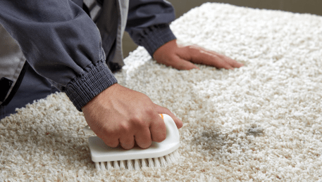 Professional Rug Cleaning Port Melbourne